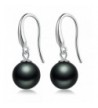 Earrings Sterling Fashion Hypoallergenic Imitation