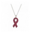 Lux Accessories Awareness Inspiration Necklace