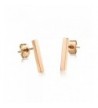 Plated Stainless Earring Earrings Ge314Long