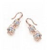 SBLING Plated Cubic Zirconia Earrings