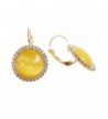 Navachi Crystal created opal Leverback Earrings
