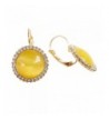 Navachi Crystal created opal Leverback Earrings