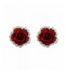 Silver Plated Zirconia Shining Earrings