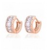 IPINK Crystal Zirconia Plated Earrings
