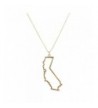 Lux Accessories Goldtone California Necklace