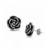 Jewelry Beautiful Titanium Stainless Earrings