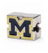 University Michigan Officially Licensed Stainless