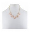 Women's Collar Necklaces