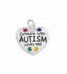 Autism Awareness Someone Loves Heart