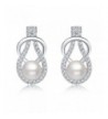 Silver Crystal Diamond Fashion Earrings