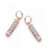 SBLING Plated Cubic Zirconia Earrings