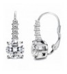 FIBO STEEL Stainless Leverback Earrings