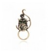 CHUANGYUN Antique Brooch Magnetic Eyeglass