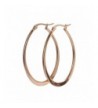 Plated Stainless Click Top Earrings 47 7mm