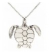 Jenhianeck Titanium Tortoise Pendant Stainless