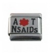 Nsaids Medical Italian Charms Bracelet