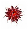 Holiday Discount Ailer Fashionable Brooch Red