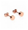 ELBLUVF Stainless Steel Plated Earrings