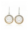 Graduated Earrings Sterling Cascading Circles