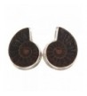 Sterling Natural Madagascar Ammonite Earrings