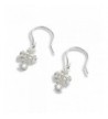 LJ Designs 256 Crystal Earrings