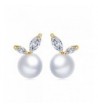 Plated Cubic Zirconia Earrings Bud Shape