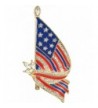 Gyn Joy American Patriotic BZ026