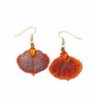 Irridescent Copper Plated Aspen Leaf Earrings